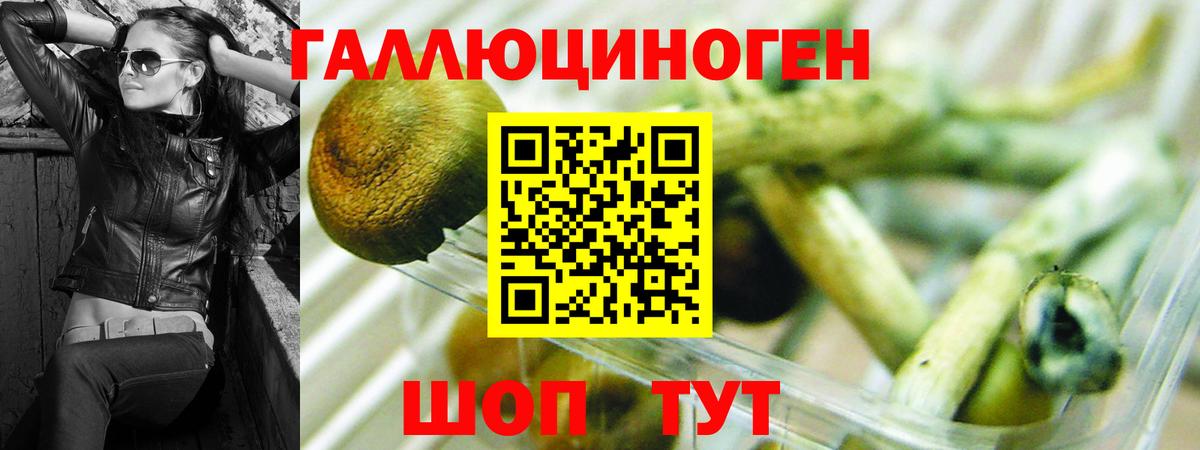 Галлюциногенные грибы прущие грибы Миасс