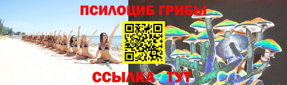 Миасс  Псилоцибиновые грибы Psilocybe  что такое   Вход с VPN 